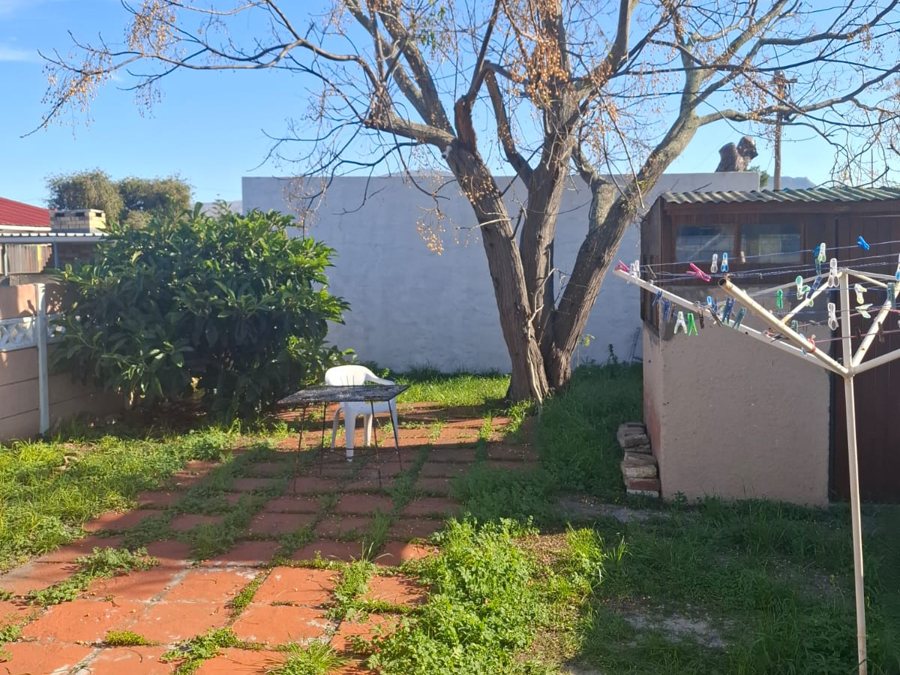The back garden